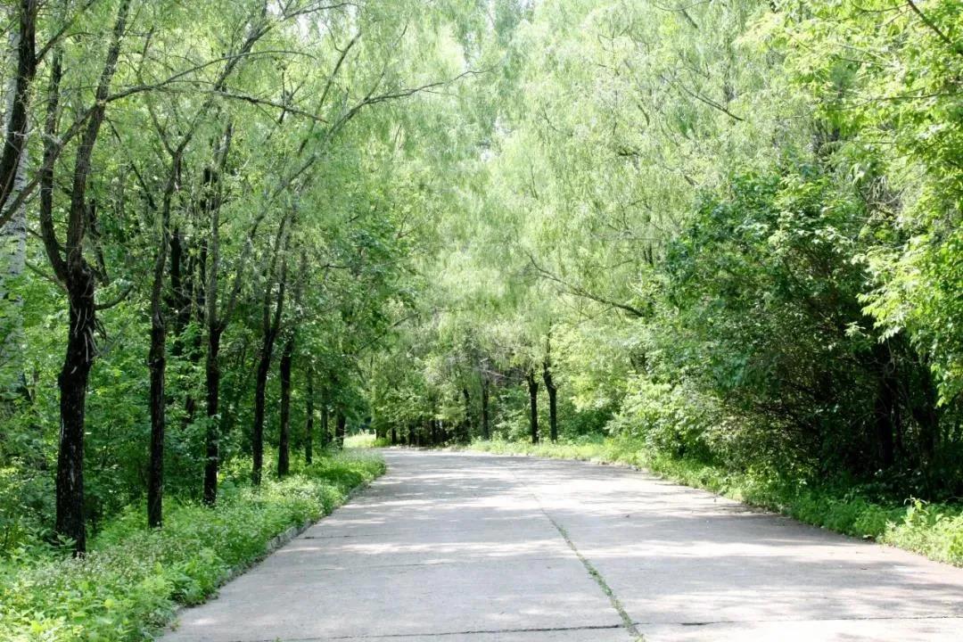 尊龙凯时·人生就是搏(中国集团)官网首页