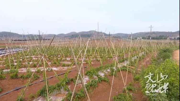 尊龙凯时·人生就是搏(中国集团)官网首页