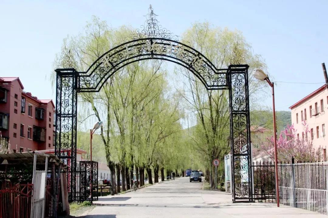 尊龙凯时·人生就是搏(中国集团)官网首页