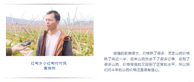 尊龙凯时·人生就是搏(中国集团)官网首页